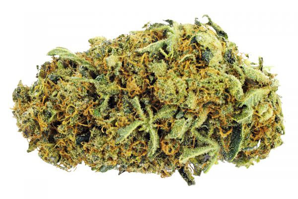 Medical Marijuana vs Prescription Pain Medications Dr. John Murphy Stuart, FL Medical Marijuana vs Prescription Pain Medications Dr. John Murphy Stuart, FL