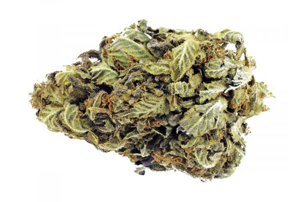 Medical Marijuana for Chronic Inflammation in Stuart, FL | Dr. John Murphy