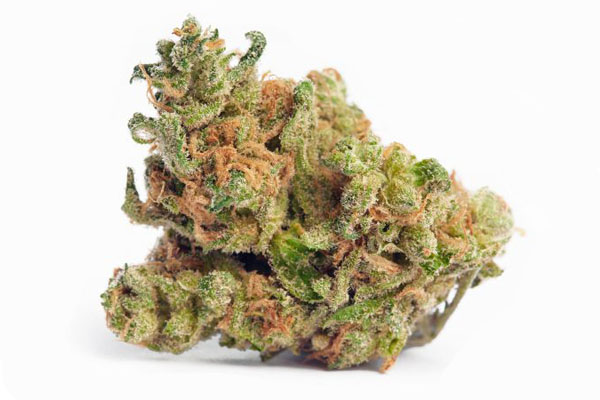 Telemedicine Medical Marijuana Evaluations in Stuart, Florida Dr. John Murphy