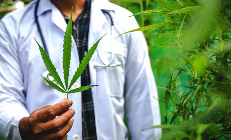 Medical Marijuana Dispensaries Stuart FL: Where to Buy