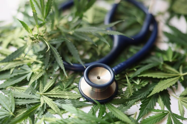Florida Medical Marijuana Smoking and Vaping Laws