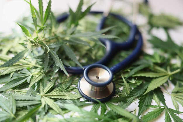 Medical Marijuana for PTSD in Stuart Florida